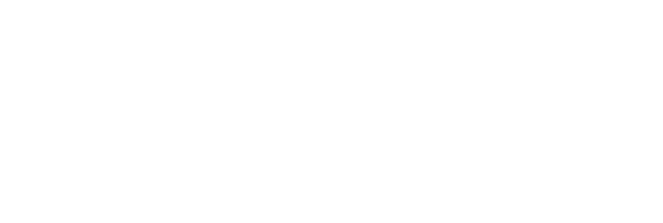 Aldis Design Logo